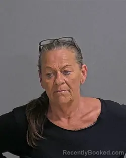 Mugshot of MELISSA FAYE WILLIS