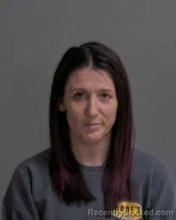 Mugshot of SHANDI LEE SWAIN booked in Sandusky County, Ohio on March 31, 2026