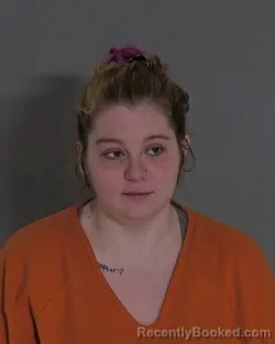 Booking photo from Sandusky County, Ohio