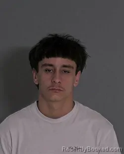 Mugshot of JADEN ALEX MARTIN booked in Sandusky County, Ohio on March 22, 2026