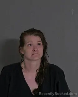 Mugshot of ASHLEY KINNISON