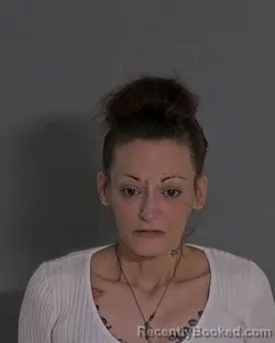 Mugshot of CHELSEE R GOBLE booked in Sandusky County, Ohio on March 21, 2026