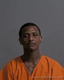 Mugshot of LOUIS D BURNETT booked in Sandusky County, Ohio on March 25, 2026