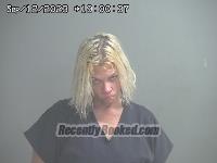 Mugshot of BRITTINIE DANIAL FISHE booked in Sandusky County, Ohio on March 23, 2026