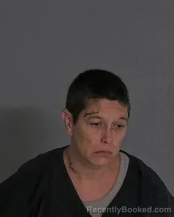 Mugshot of JENNIFER ANN SNYDER