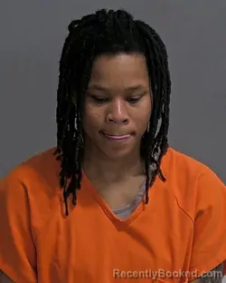 Mugshot of ARIES MONIQUE FREEMAN booked in Sandusky County, Ohio on March 30, 2026