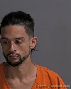 Mugshot of LEE JOHNSON booked in Sandusky County, Ohio on April 1, 2026