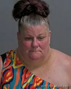 Mugshot of Tammy Louise Jones booked in Sandusky County, Ohio on September 11, 2026