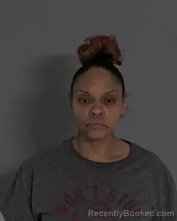 Mugshot of SHEENA LAUREL VALLE booked in Sandusky County, Ohio on April 26, 2026