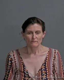 Mugshot of SHARMAE L ARMBRUSTER booked in Sandusky County, Ohio on March 18, 2026