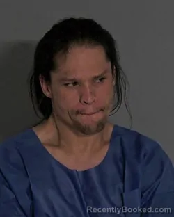 Mugshot of MICHAEL SCOTT POTTS booked in Sandusky County, Ohio on April 6, 2026