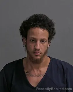 Mugshot of TYLAN J DOMANSKI booked in Sandusky County, Ohio on March 6, 2026