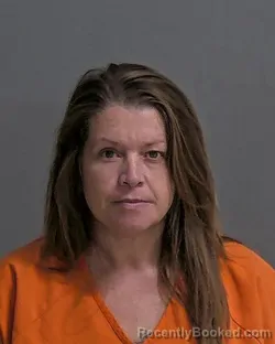Mugshot of MALISSA L BRICKLEY-EVANS booked in Sandusky County, Ohio on April 28, 2026