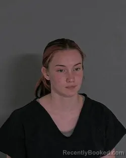 Mugshot of TAYLOR MARIE PECK booked in Sandusky County, Ohio on April 6, 2026