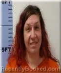 Mugshot of Megan Cooks
