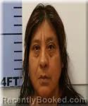 Mugshot of Noemi Perez-Ortiz