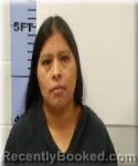 Mugshot of Marcelina Perez-Santis