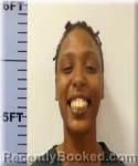 Mugshot of Danashia Meekins booked in Seneca County, Ohio on May 28, 2026