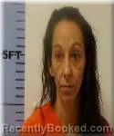 Mugshot of Anna Robertson booked in Seneca County, Ohio on June 3, 2026