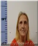 Mugshot of Deborah Ross booked in Seneca County, Ohio on June 20, 2026