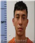 Mugshot of Andres Julian Almanza-Jimenez booked in Seneca County, Ohio on June 29, 2026