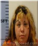Mugshot of Alexis Brehm booked in Seneca County, Ohio on July 28, 2026