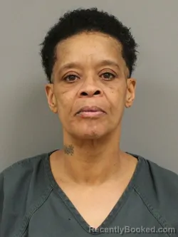 Mugshot of DARLENE HUDGINS