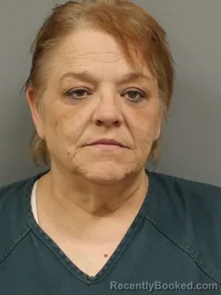 Mugshot of LORRAINE A SILVERS booked in Shelby County, Ohio on May 9, 2026