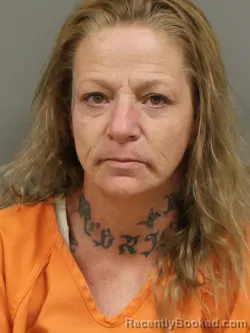 Mugshot of TINA MARIE HICKS booked in Shelby County, Ohio on May 22, 2026