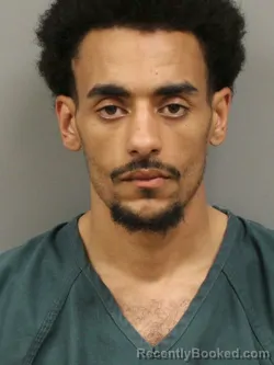 Mugshot of BRYCE THOMAS-MCKEE WHITE
