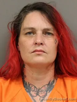 Mugshot of HOLLY DAWN MOWERY booked in Shelby County, Ohio on June 26, 2026