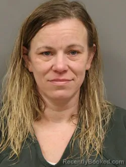 Mugshot of AMANDA CHASTINE SNELL