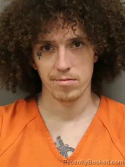 Mugshot of KEENAN SCOTT DAVIDSON