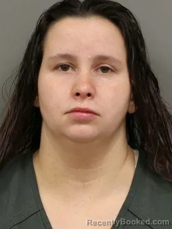 Mugshot of BRANDY LEIGH TERRY