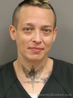 Mugshot of AMY ELIZABETH LEWIS booked in Shelby County, Ohio on June 26, 2026