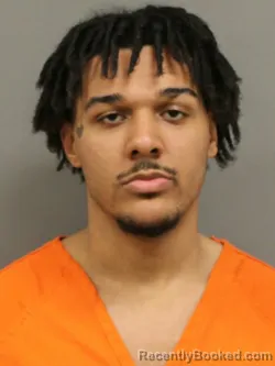 Mugshot of EVAN LEE NEWMAN