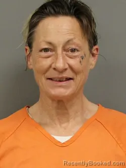 Mugshot of DIONNE CHRISTINE MCDOWELL booked in Shelby County, Ohio on July 13, 2026
