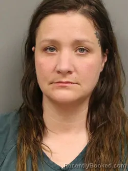 Mugshot of JESSICA NICOLE NAPIER booked in Shelby County, Ohio on March 31, 2026