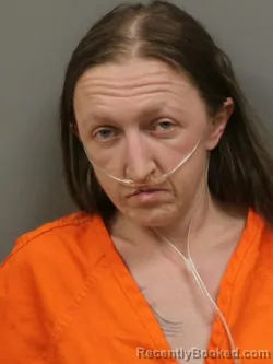 Mugshot of ASHLEY NICOLE SPURLOCK booked in Shelby County, Ohio on April 24, 2026