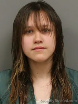 Mugshot of IVY NICOLE LOGAN booked in Shelby County, Ohio on May 12, 2026