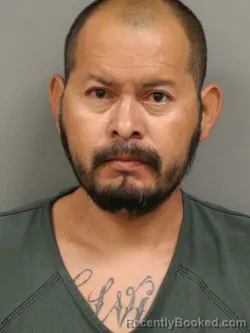 Mugshot of CONRADO PADRON-VASQUEZ booked in Shelby County, Ohio on May 17, 2026