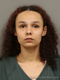 Mugshot of ALEXIS ZAKERIA-NICOLE CHAMBERS booked in Shelby County, Ohio on June 13, 2026