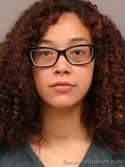 Mugshot of DENISHA EILEEN BAKER booked in Shelby County, Ohio on June 14, 2026