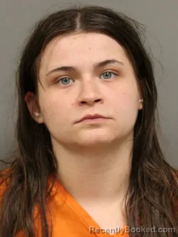 Mugshot of HEATHER DORSIE DAVIS booked in Shelby County, Ohio on June 22, 2026