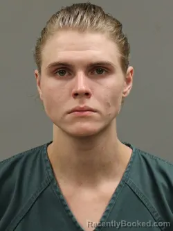 Mugshot of AYDIN MATTHEW KNIGHT booked in Shelby County, Ohio on June 27, 2026