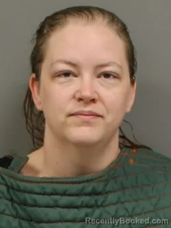 Mugshot of Brandee Machele Johnson booked in Shelby County, Ohio on October 6, 2026