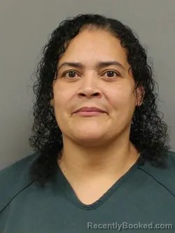 Mugshot of Trisha Ann Johnson booked in Shelby County, Ohio on October 13, 2026