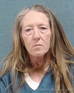 Mugshot of TAMMY J DELONG booked in Stark County, Ohio on June 13, 2026