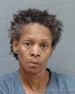 Mugshot of Pamela Renay Wallace