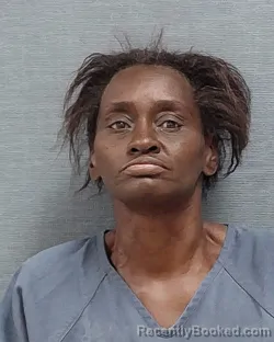 Mugshot of LAKEISHA DASHON WALKER booked in Stark County, Ohio on June 26, 2026